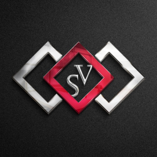 vevasilver logo