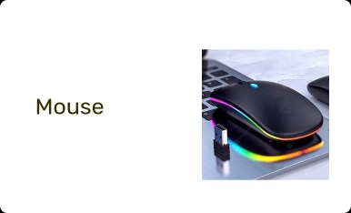 Mouse