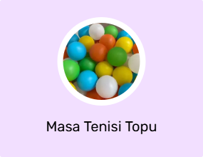 Masa Tenisi Topu