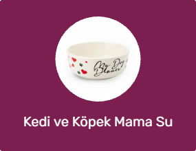 Kedi ve Köpek Mama Su Kabı