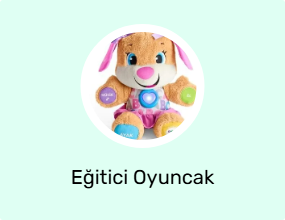 Eğitici Oyuncak