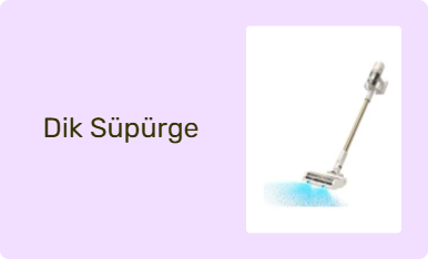 Dik Süpürge