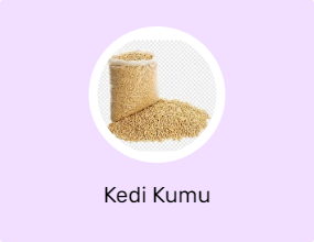 Kedi Kumu