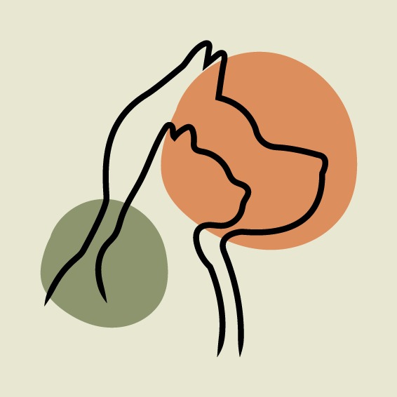 kito logo