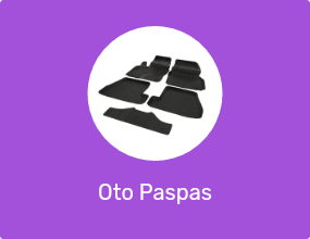 Oto Paspas