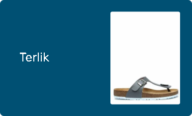 Terlik