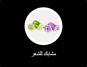مشابك للشعر