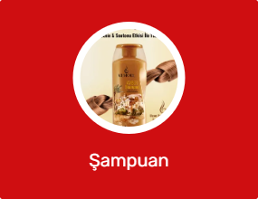 Şampuan