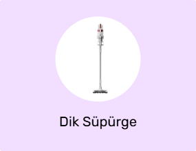 Dik Süpürge