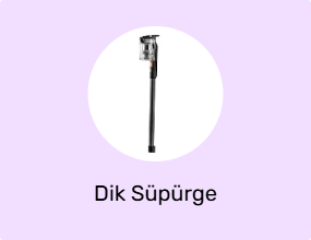 Dik Süpürge