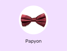 Papyon