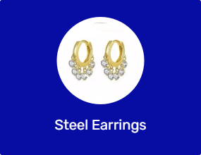Steel Earrings