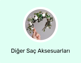 Diğer Saç Aksesuarları