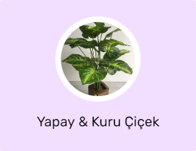 Yapay & Kuru Çiçek