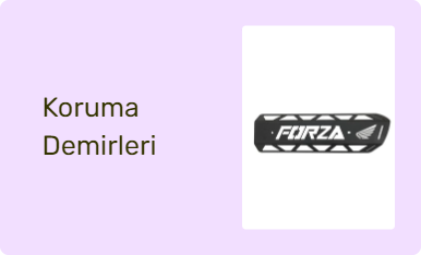 Koruma Demirleri