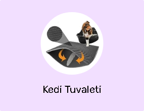 Kedi Tuvaleti
