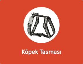 Köpek Tasması