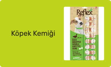 Köpek Kemiği