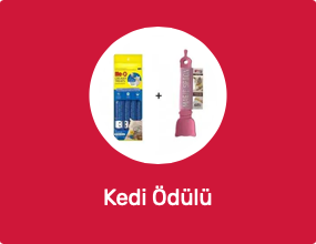 Kedi Ödülü