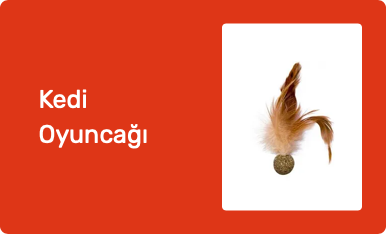 Kedi Oyuncağı