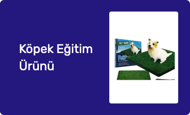 Köpek Eğitim Ürünü