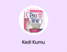 Kedi Kumu