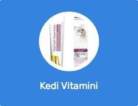 Kedi Vitamini