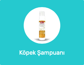 Köpek Şampuanı