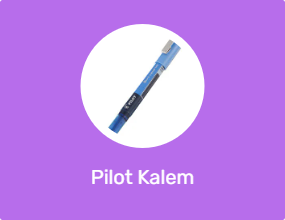 Pilot Kalem