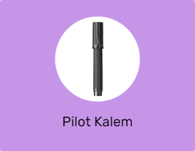 Pilot Kalem
