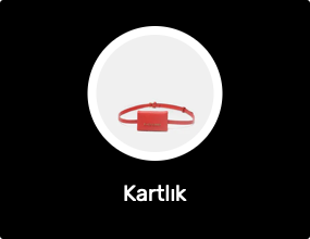 Kartlık