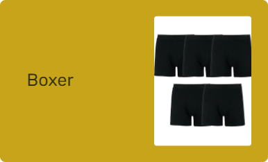 Boxer
