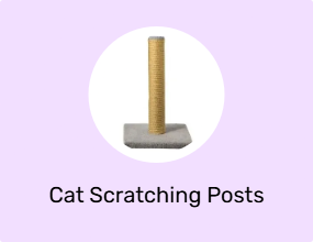 Cat Scratching Posts