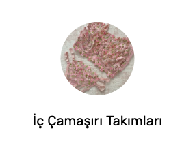 İç Çamaşırı Takımları