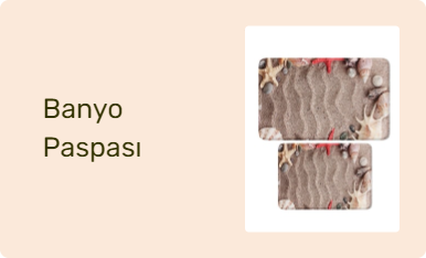 Banyo Paspası