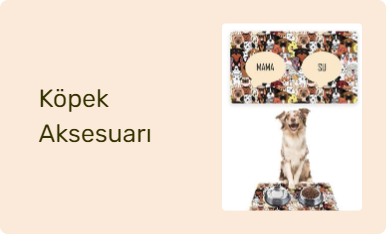 Köpek Aksesuarı