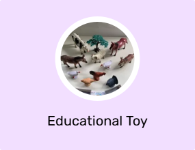 Educational Toy