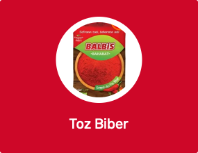 Toz Biber