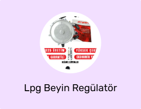 Lpg Beyin Regülatör