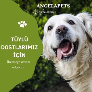 Angelapets logo