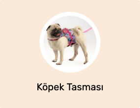 Köpek Tasması