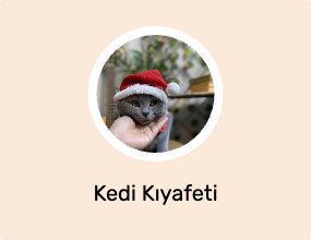 Kedi Kıyafeti