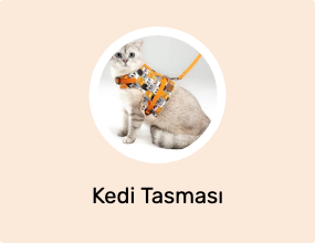 Kedi Tasması