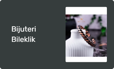 Bijuteri Bileklik
