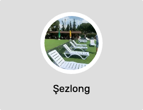 Şezlong
