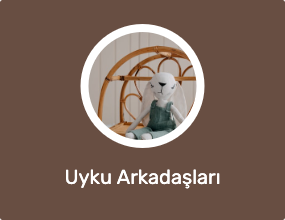 Uyku Arkadaşları