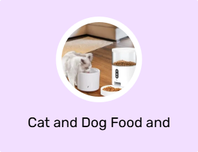Cat and Dog Food and Water Containers