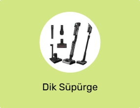 Dik Süpürge