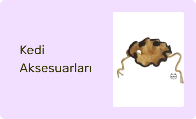 Kedi Aksesuarları