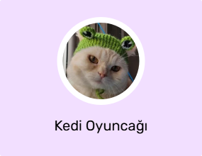 Kedi Oyuncağı